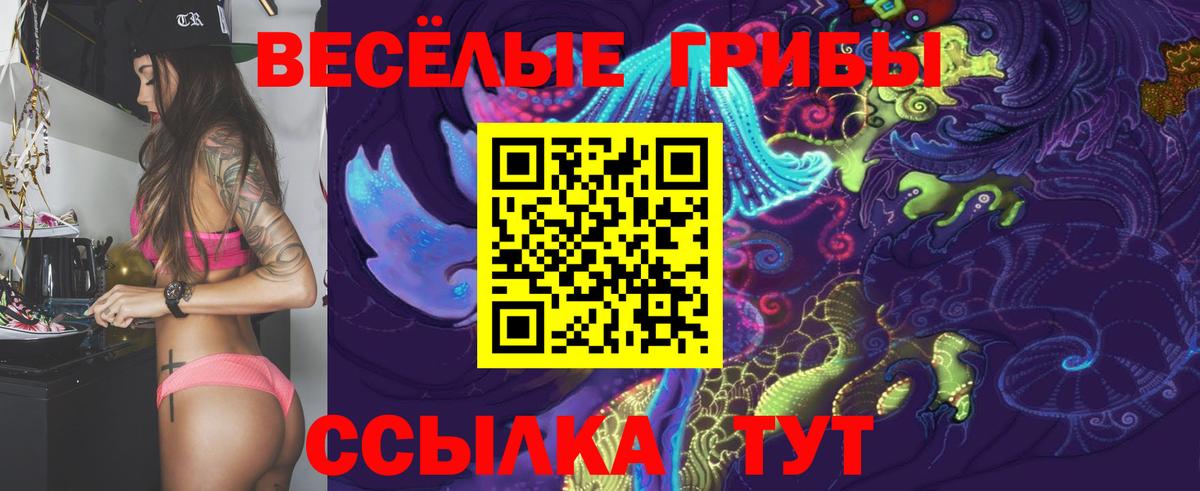 Псилоцибиновые грибы GOLDEN TEACHER  Вход с VPN  Электрогорск 