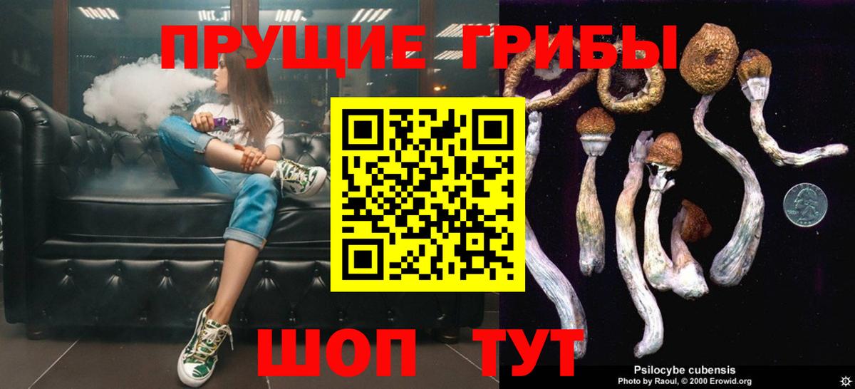 Псилоцибиновые грибы Magic Shrooms Электрогорск